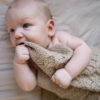 Saga babyteppe